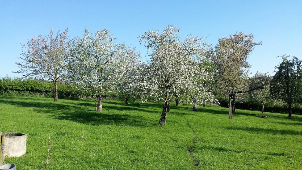 Hoeve Schevey Malinas Exterior foto